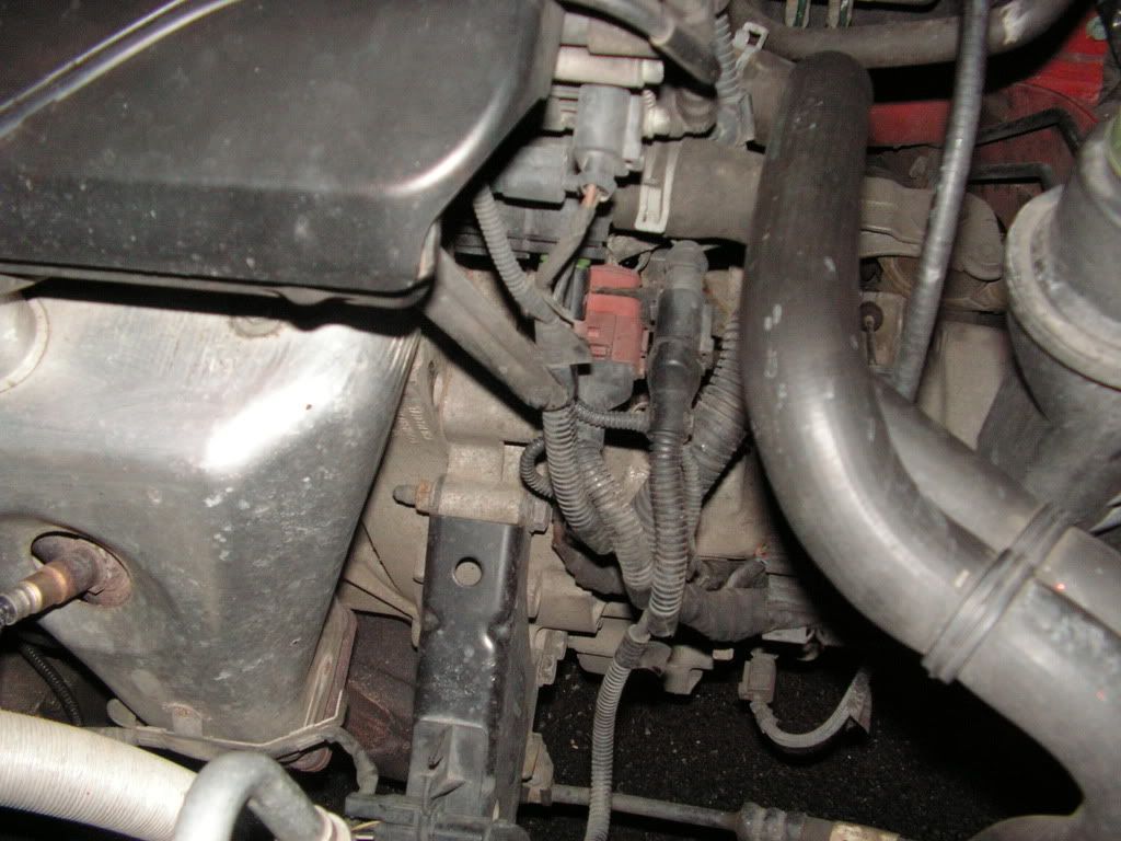 PICT0004.jpg