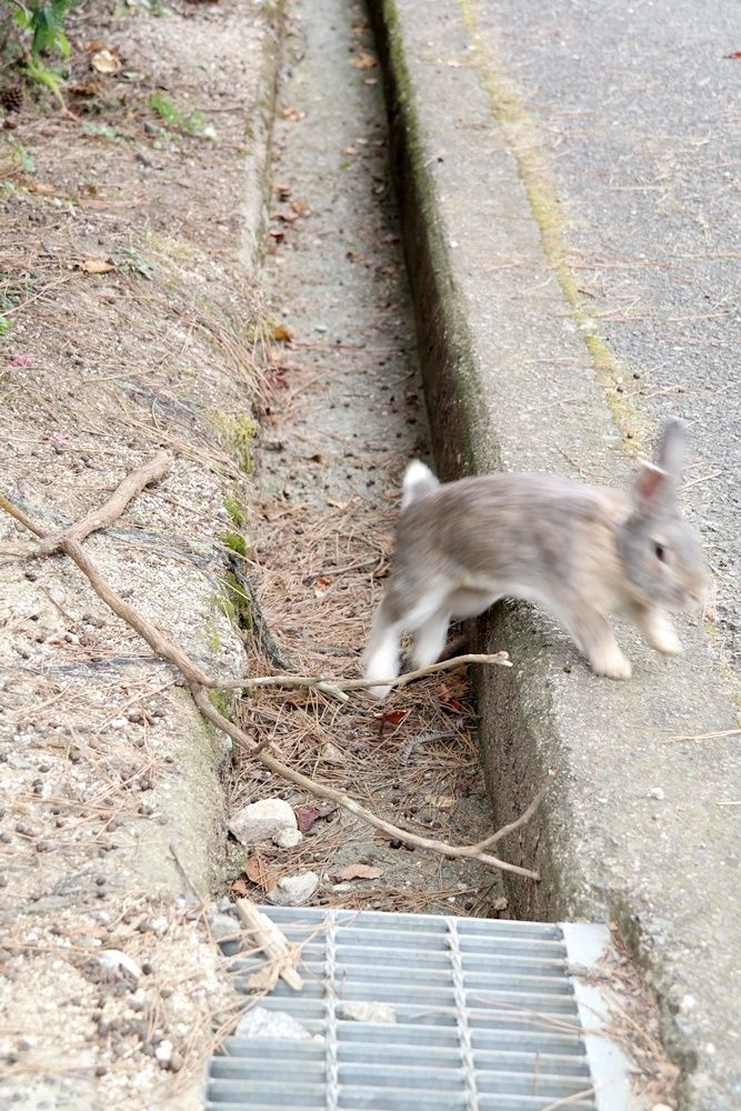 photo 09 98.jpg