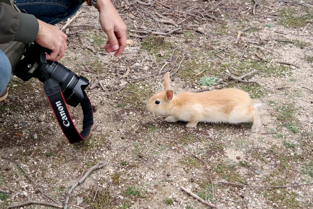 photo 10 1.jpg
