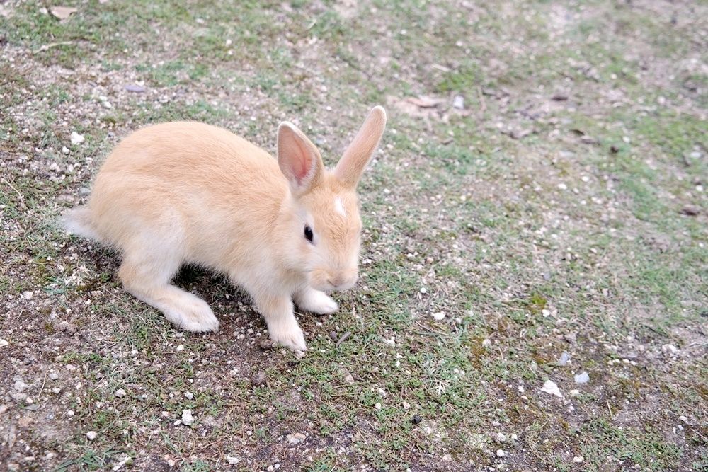 photo 10 2.jpg