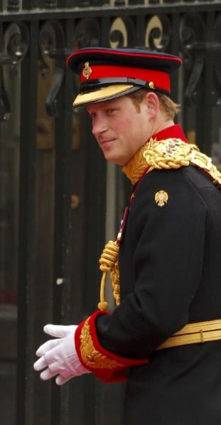 prince william and harry official photo. prince william and harry as