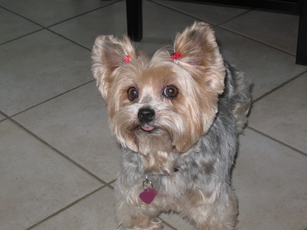 re: I Enjoy Being a Girl Vol 2!