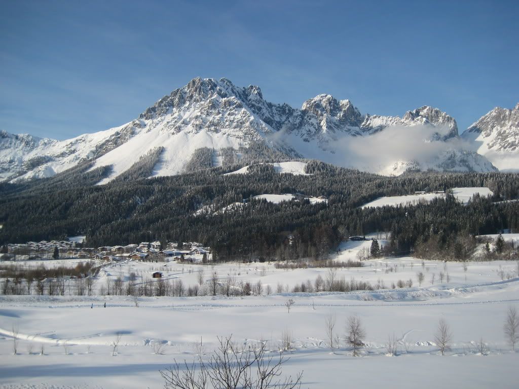 IMG_0019.jpg