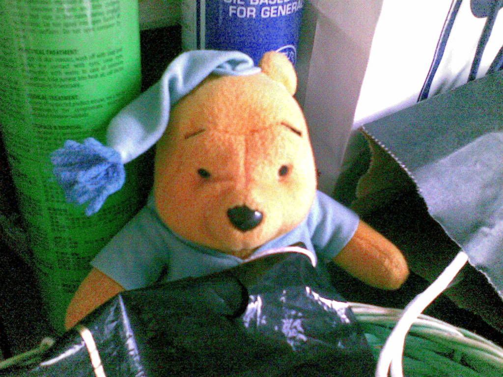 Pooh