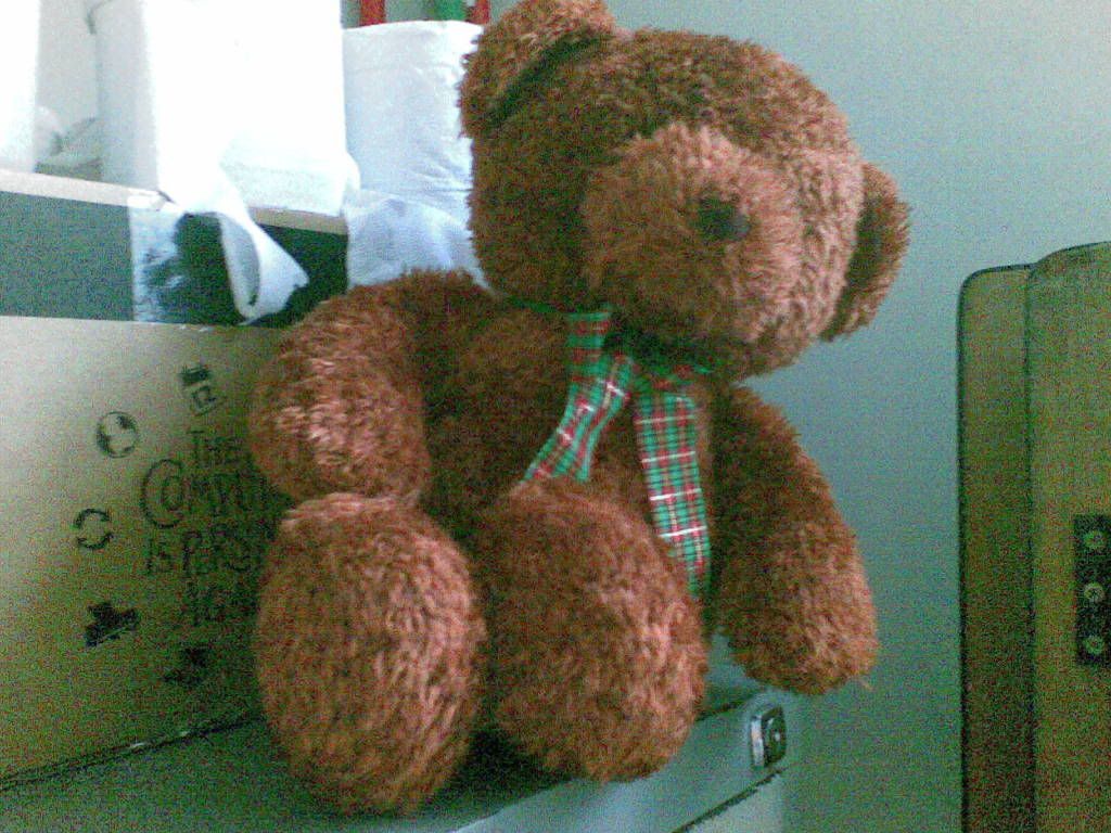 bear