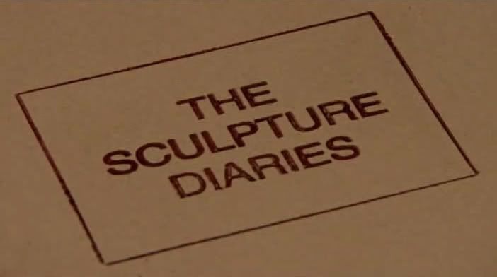 The Sculpture Diaries ( 2008) [PDTV (DivX)] preview 0