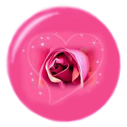 pin love rose