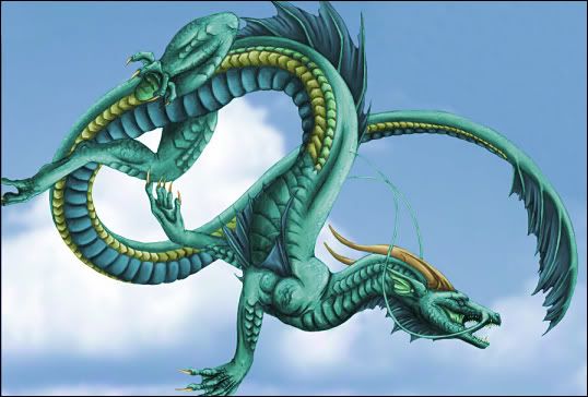 wind dragon Pictures, Images and Photos