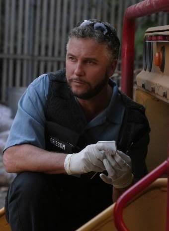 Gil Grissom Pictures, Images and Photos