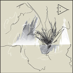 amp023