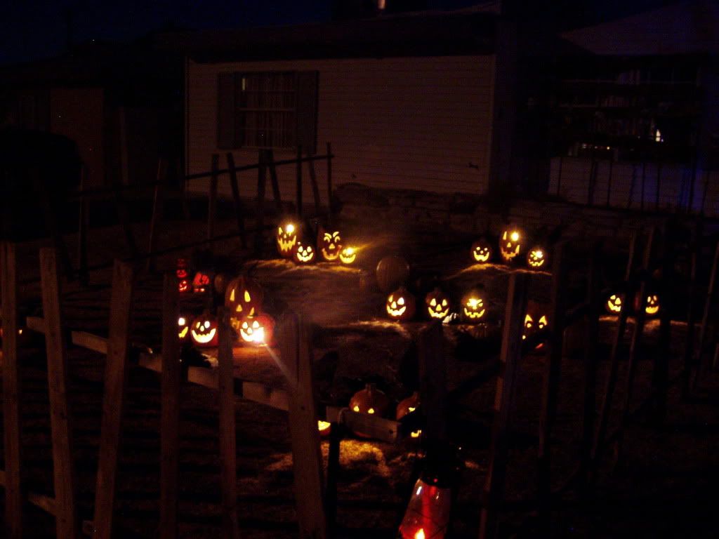 Picture534.jpg pumpkins night image theedwin