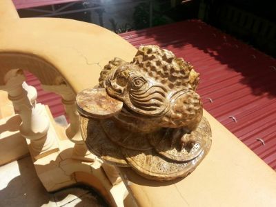 Thiềm thừ nu nghiến đẹp