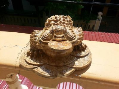 Thiềm thừ nu nghiến đẹp - 2