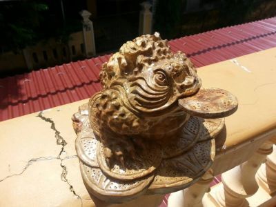 Thiềm thừ nu nghiến đẹp - 1