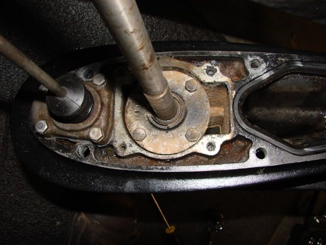 DSC06470.jpg
