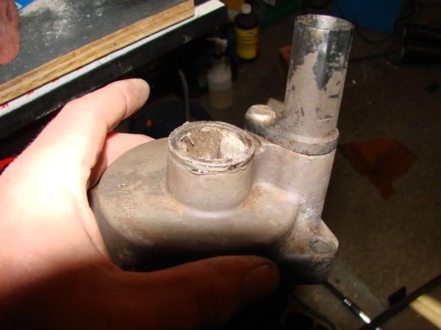 DSC06473.jpg