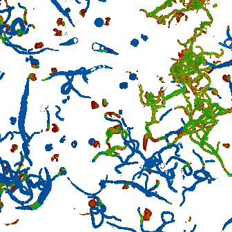 caves2.png