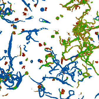 caves4.png
