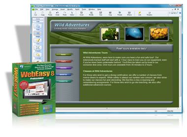 Web Easy Professional v8.0