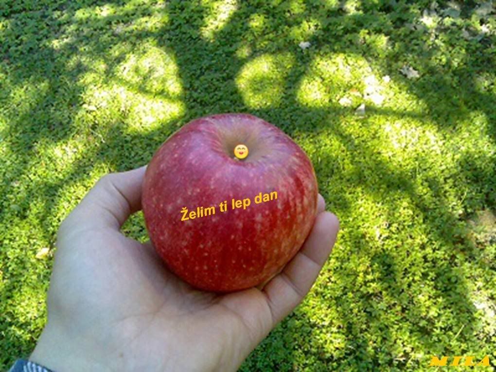 Picture1-1.jpg