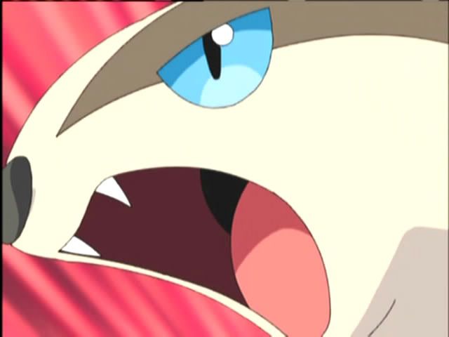 [PokeCommunity.com] The Zigzagoon and Linoone fanclub