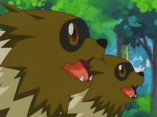 [PokeCommunity.com] The Zigzagoon and Linoone fanclub